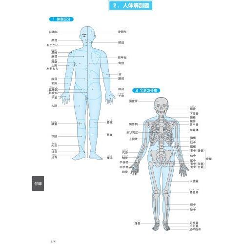 中国語・医学書・医療・医学・解剖・治療 西洋医学の伝来（南蛮医学と紅毛医学，解体新書，シーボルトの
