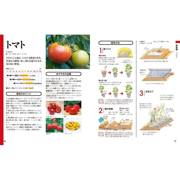 野菜づくり大百科 決定版 通販|セブンネットショッピング 野菜づくり大百科 決定版 通販|セブンネットショッピング