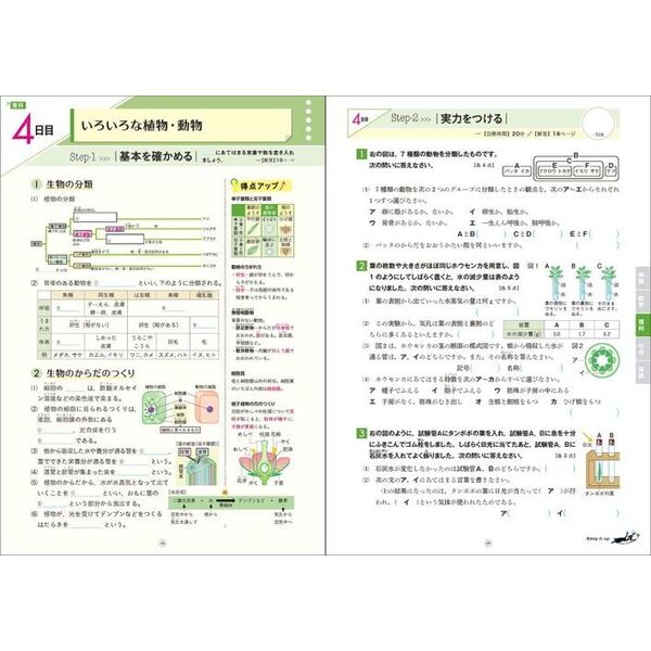 中学3年分をたった7で総復習 3冊セット 中学3年