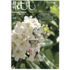 月刊むし　2025年7月号