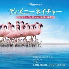ディズニーネイチャー／フラミンゴに隠された地球の秘密