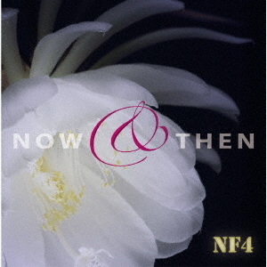 ֥ͥåȥåԥ󥰤㤨NowThenפβǤʤ3,300ߤˤʤޤ