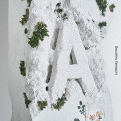 山内総一郎／A（CD）