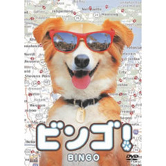 ビンゴ！ ＜期間限定生産＞（ＤＶＤ）