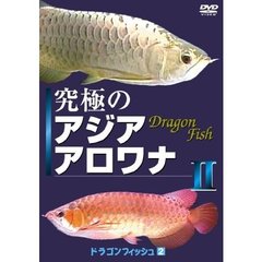ドラゴン フィッシュ 2 究極の アジア アロワナ II 癒やし系 DVDシリーズ（ＤＶＤ）