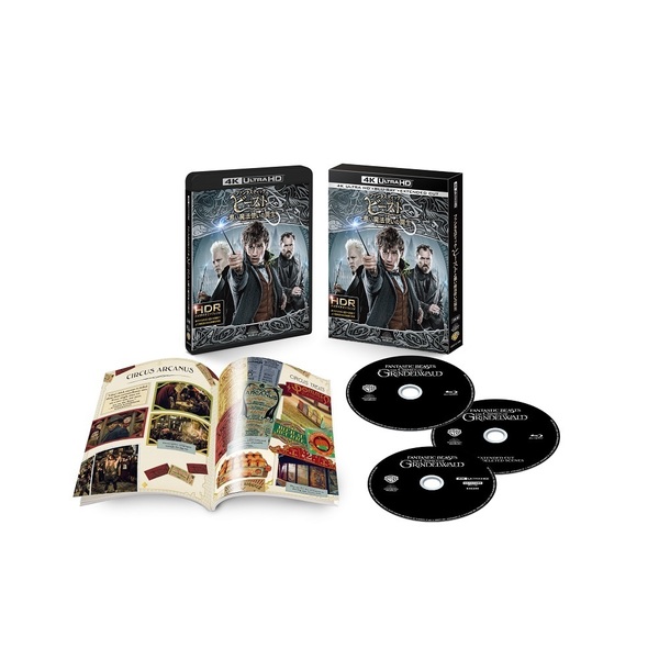 BEAST コンプリート ヒストリーBOX[DVD] - BEAST - UNIVERSAL