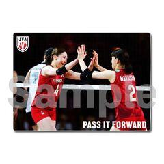 【バレーボール女子日本代表】メタルディスプレイ  韓国戦 05