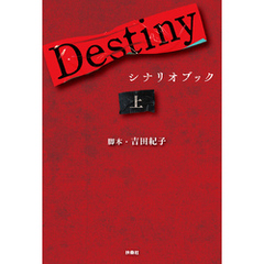 Destiny　シナリオブック〈上〉