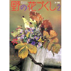 野の花づくし　野あそび花あそび　２　夏～晩秋