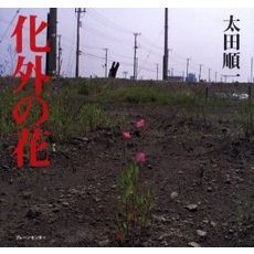 化外の花