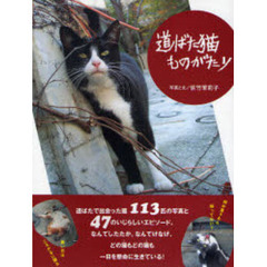 道ばた猫ものがたり
