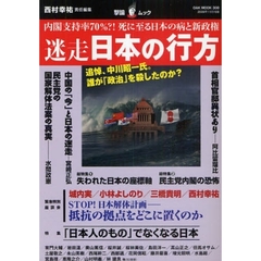 迷走日本の行方　内閣支持率７０％？！死に至る日本の病と新政権