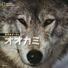 オオカミ