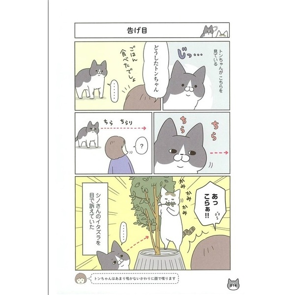 うちの猫がまた変なことしてる。4 (メディアファクトリーのコミック