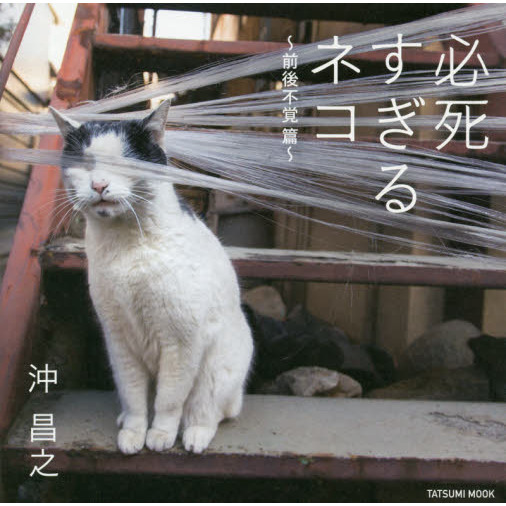 ֥ͥåȥåԥ󥰤㤨ɬहͥ ~Գ ~ (ĥߥåפβǤʤ1,320ߤˤʤޤ