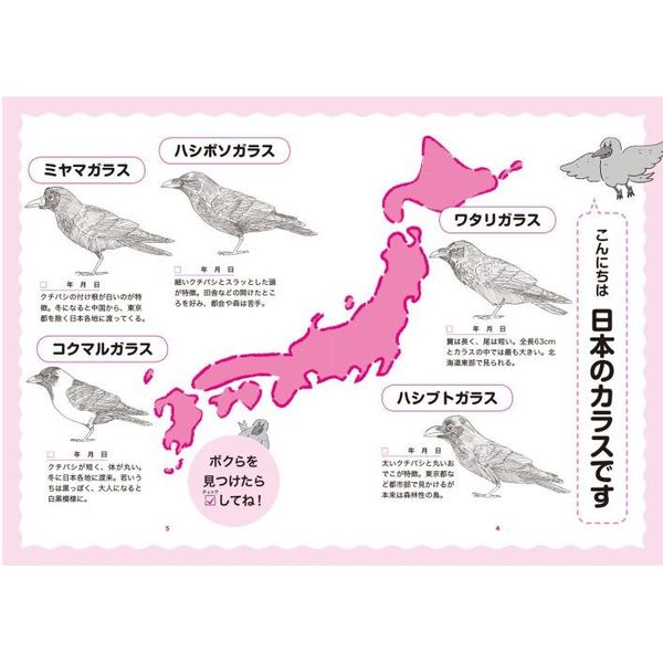 図解眠れなくなるほど面白いカラスの話 通販|セブンネットショッピング