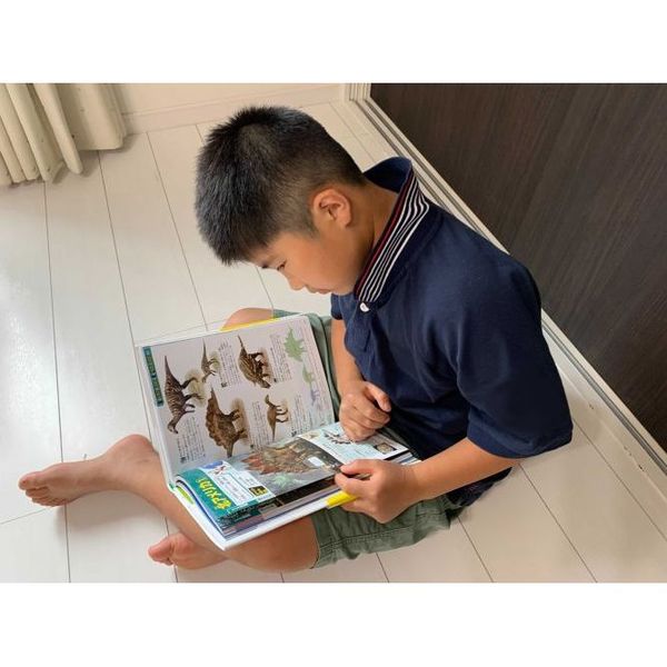 【257】キャラクター図鑑 7冊セット 257】キャラクター図鑑 7冊セット Amazon.co.jp: キャラクター