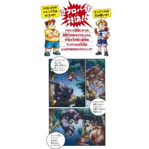 どっちが強い！？クロヒョウVS（たい）マンドリル まさかの空中決戦