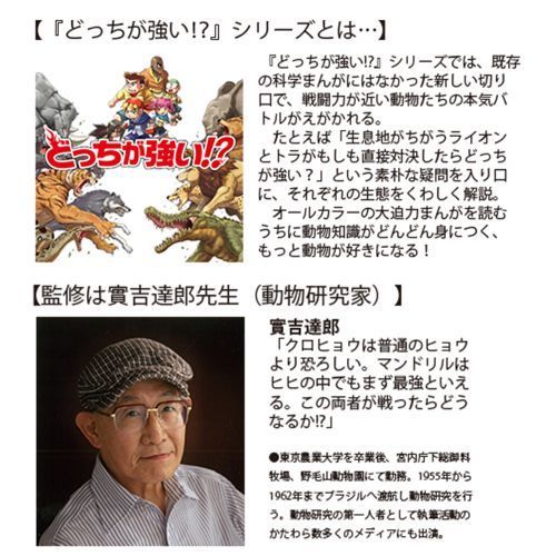 どっちが強い！？クロヒョウVS（たい）マンドリル まさかの