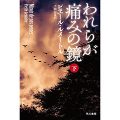 われらが痛みの鏡　下