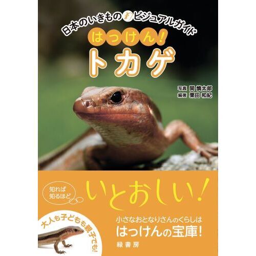 コレクション トカゲ 雑誌