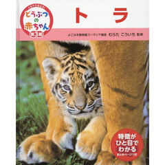 くらべてみよう！どうぶつの赤ちゃん　２１　トラ