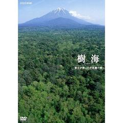 樹海 富士が創った不思議の森（ＤＶＤ）