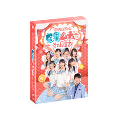 てんとうむChu！の世界をムチューにさせます宣言！　DVD－BOX（ＤＶＤ）