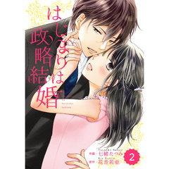 comic Berry’s はじまりは政略結婚 2巻