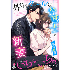 外ではクールな弁護士も家では新妻といちゃいちゃしたい（上）