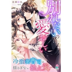 別れたいのに愛おしい～冷徹御曹司の揺るぎない独占愛～