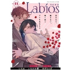 Labios vol.11【雑誌限定漫画付き】