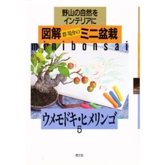 図解ミニ盆栽　野山の自然をインテリアに　５　ウメモドキ・ヒメリンゴ