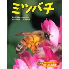 ドキドキいっぱい！虫のくらし写真館　１１　ミツバチ