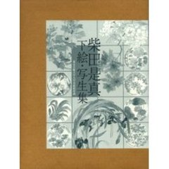 柴田是真下絵・写生集 東京芸術大学大学美術館所蔵 - アート/エンタメ