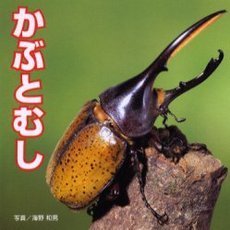 かぶとむし