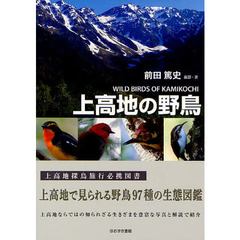上高地の野鳥