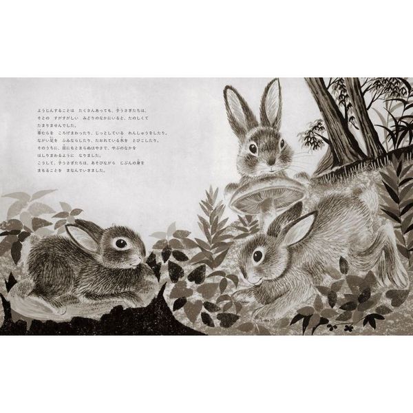 ちいさなうさぎのものがたり 通販 セブンネットショッピング ちいさなうさぎのものがたり 通販 セブンネットショッピング