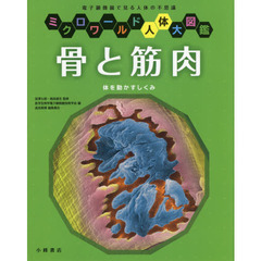 骨と筋肉　体を動かすしくみ　電子顕微鏡で見る人体の不思議
