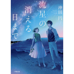 流星の消える日まで