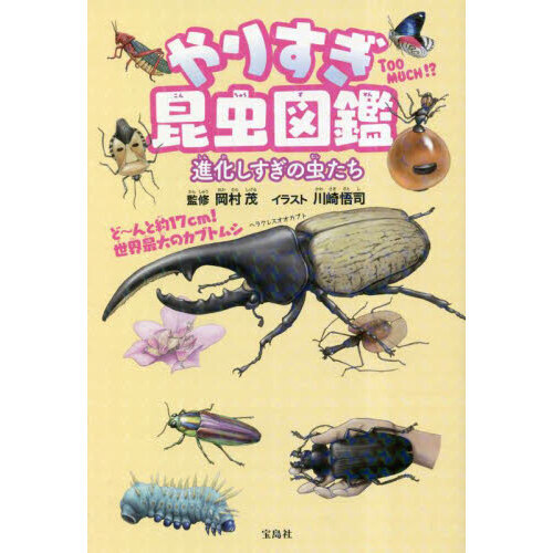 やりすぎ昆虫図鑑 進化しすぎの虫たち 通販｜セブンネットショッピング