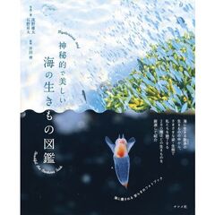 神秘的で美しい海の生きもの図鑑