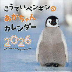 カレンダー　’２６　こうていペンギンのあ