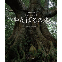ひかりおどるやんばるの森　世界自然遺産