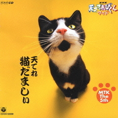 NHK天才てれびくんワイド～天てれ猫だましぃ～MTK　The　5th