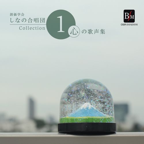 ֥ͥåȥåԥ󥰤㤨ϲز񤷤ʤι羧ġCollection1βפβǤʤ3,850ߤˤʤޤ