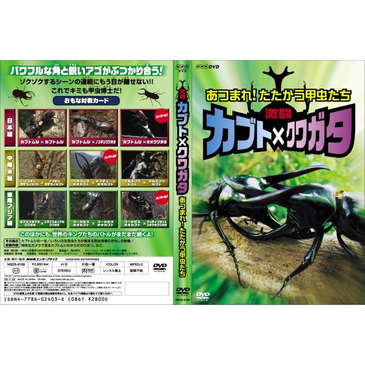 あつまれ！ たたかう甲虫たち 激闘 カブト×クワガタ（DVD