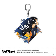 ハイキューグッズ ハイキューグッズの検索結果 - 通販｜セブンネット