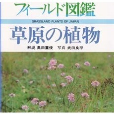 草原の植物