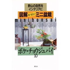 図解ミニ盆栽　野山の自然をインテリアに　１０　ボケ・チョウジュバイ